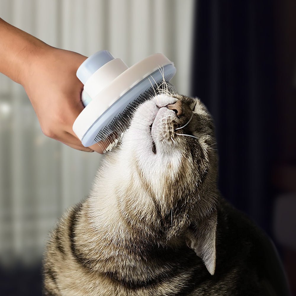 Dos GHair Comb Pet Hair Remover Brush: Ultimate Grooming Tool 🐱🐶 - My Store