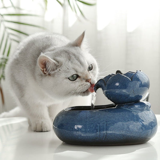 Durable Resin Cat Feeder Water Feeder - My Store