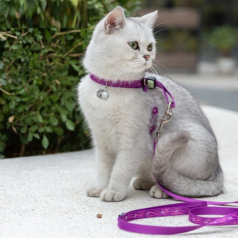 Pet Cat Bell Chest Strap Vest 🐾 - My Store