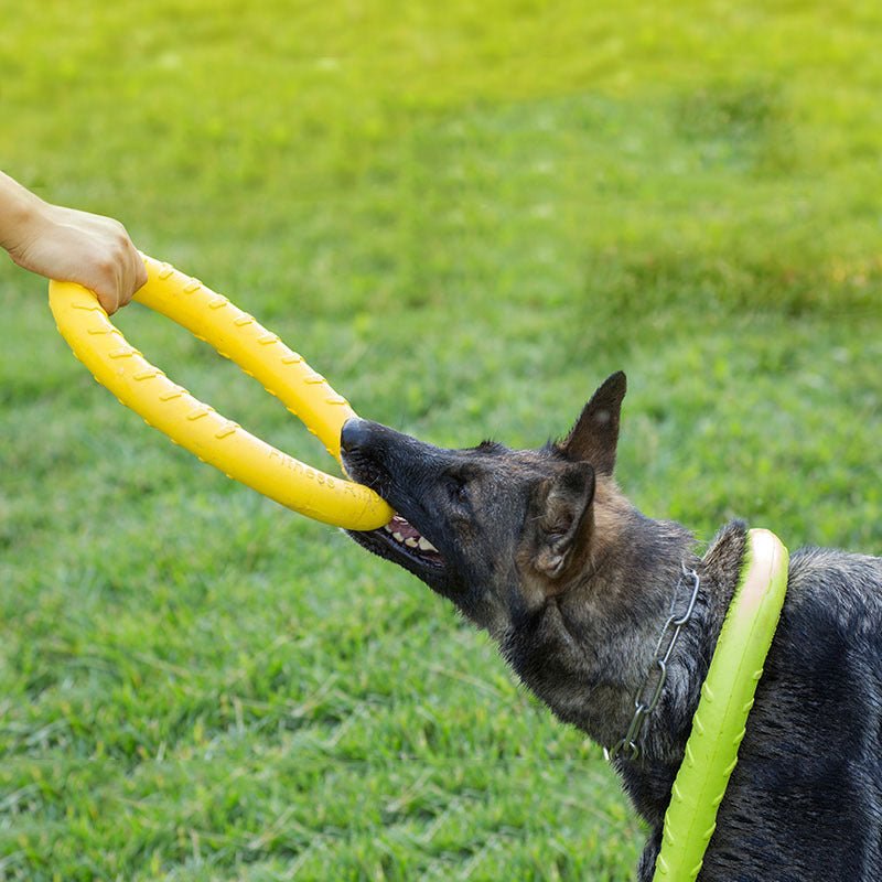 Pet Dog Training Toy Pull Ring - My Store