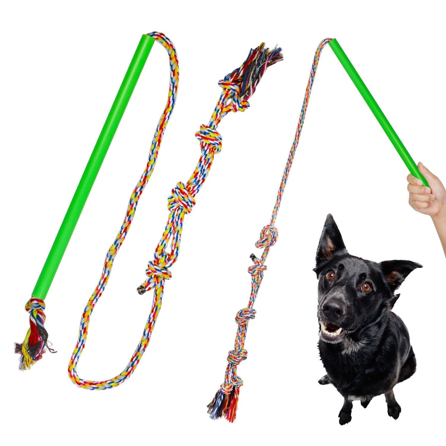 Pet Supplies Training Dog Pole - My Store