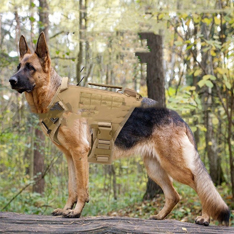 Tactical Training Dog Chest Strap - My Store